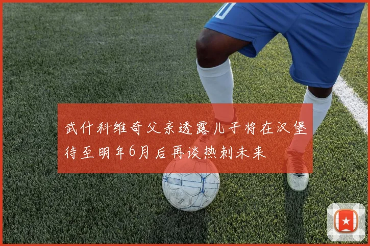 武什科维奇父亲透露儿子将在汉堡待至明年6月后再谈热刺未来