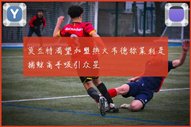 莫兰特渴望加盟热火韦德称莱利是捕鲸高手吸引众星