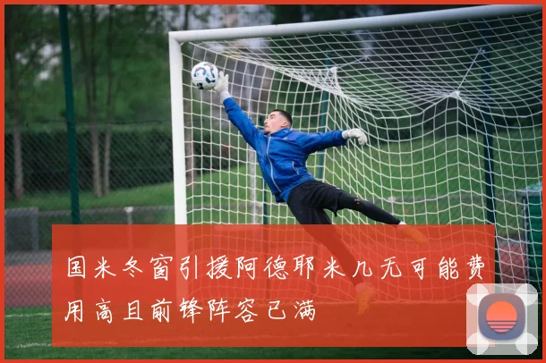 国米冬窗引援阿德耶米几无可能费用高且前锋阵容已满